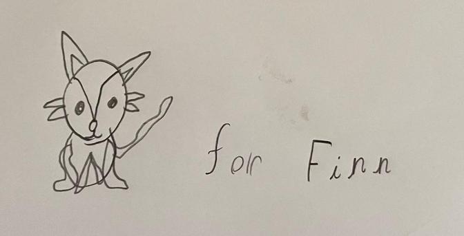 A sketch in ink of a cat, drawn by James, 2 years older than Finn, his brother.