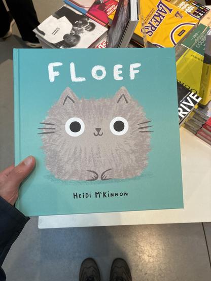 book titled floef about a cat