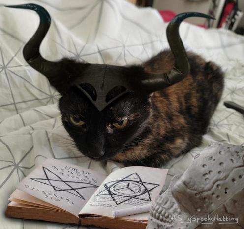 Original alt txt: a tortoiseshell cat is lying on a bed with all four of her paws tucked under her body. Her eyes are not fully open so she looks slightly grumpy, but she is actually just sleepy.
My addition: Brumma is now wearing a headdress with curved black demonic horns, and she is reading a spell book open on the bed in front of her, with a plastic skull for atmosphere to the side of it.