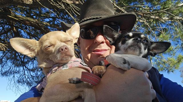 A man wearing sunglasses and a cowboy hat holds two Chihuahuas outdoors against a backdrop of trees and a bright blue sky. The tan Chihuahua on the left has its eyes closed peacefully, while the black and white Chihuahua on the right looks up with a content expression.
