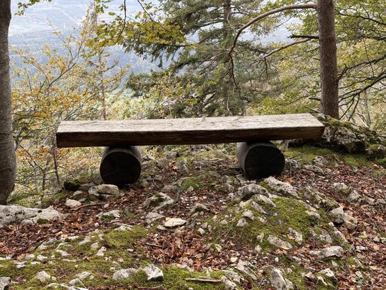 Eine Bank im Wald
A bench in teh woods