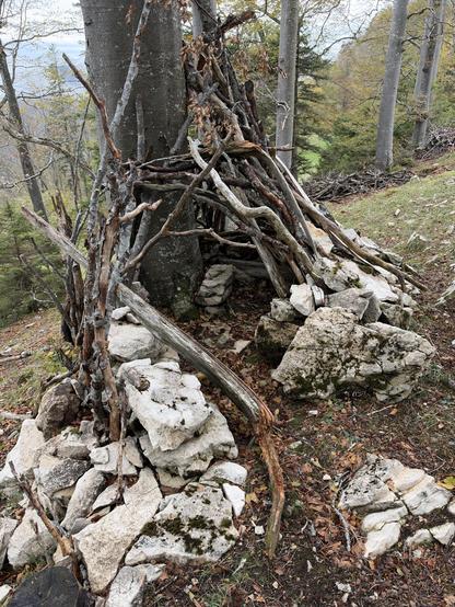 Eine einfache, im Wald errichtete Asthütte (auch Unterstand oder Tipi aus Totholz genannt), die rund um einen Baumstamm aus gesammelten Ästen, Zweigen und gestapelten Steinen gebaut wurde.
A simple shelter built in the forest (also known as a shelter or teepee made of dead wood), constructed around a tree trunk using collected branches, twigs, and stacked stones.