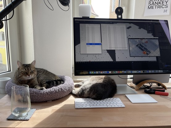 My desk with two cats lounging in the sun 
