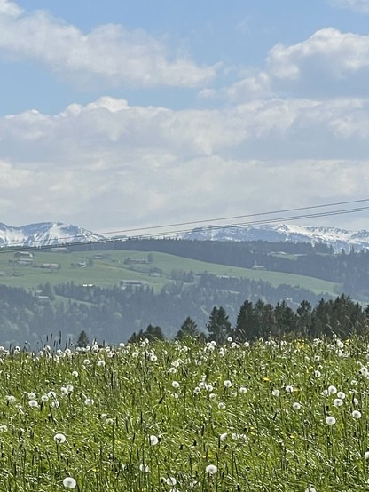 Alpine panorama 