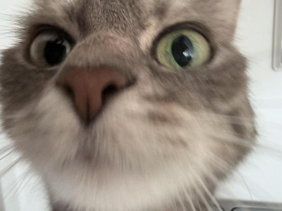  Closeup of Mimi’s face 