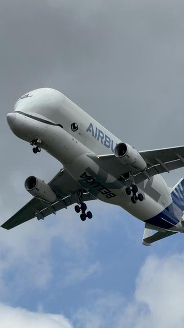 An airbus beluga xl transporter plane during landing