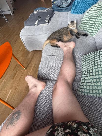 Daniel lazing on the couch but only his legs are visible. Momo the cat is pressing her hind legs against his bare foot 