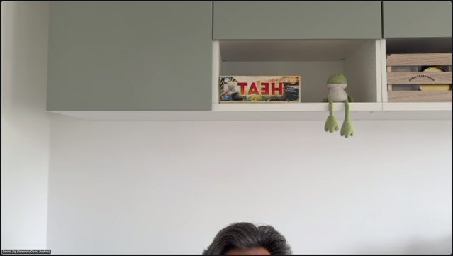 Video call screenshot. The foreground has daniel's forehead at the very bottom of the image, because he's sitting down in front of a standing desk. The background has a hanging cupboard with a plush frog named Fridolin and a board game called HEAT