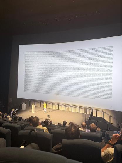 A huge huge slide with gibberish on it 