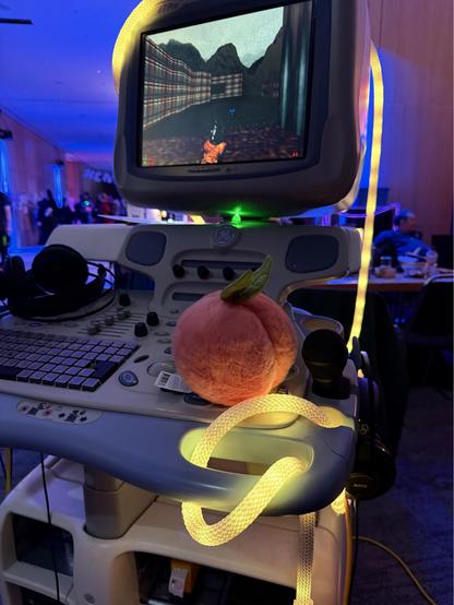 Peaches playing doom on an ultrasound machine 