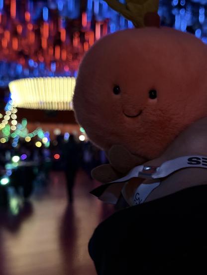 Peaches looking at light art installations 