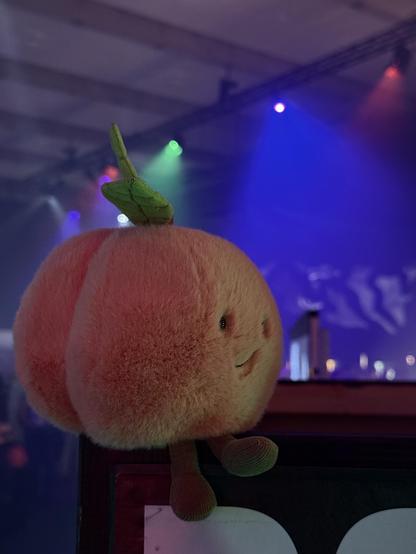 Peaches watching the stage 