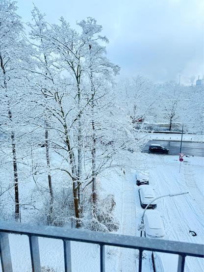 All images: buildings, streets, trees and sidewalks entirely covered in snow, without any removal 