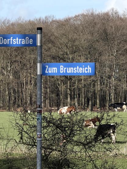Straßenschild „zum Brunsteich“