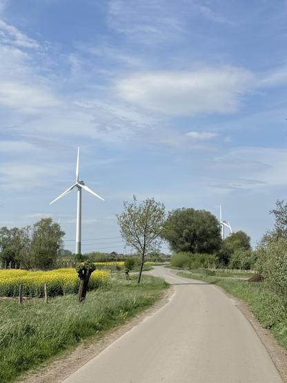Windmills 