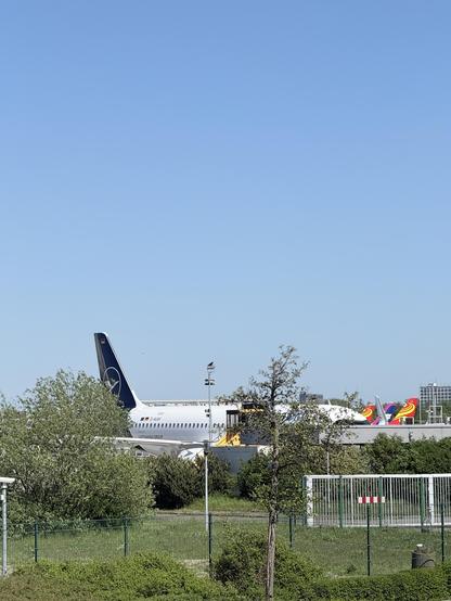 A plane!