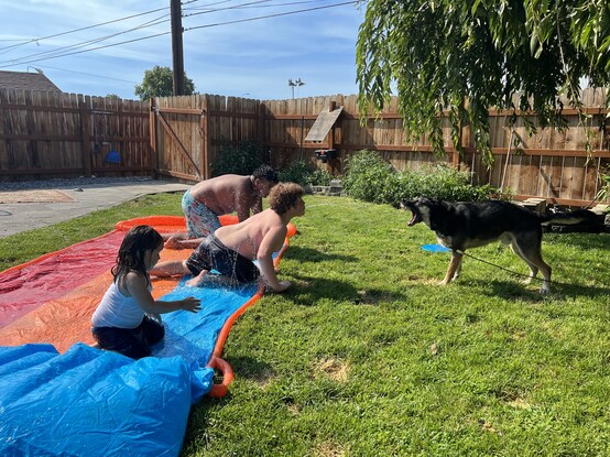 Kids on slip and slide spraying dog barking. 