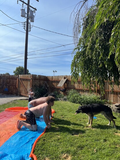 Kids on slip and slide spraying dog catching it. 