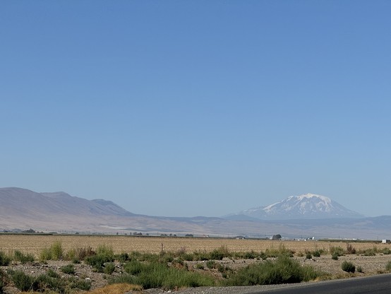 Photo with Mt Adam’s in the background. Desert scenery in the foreground. 