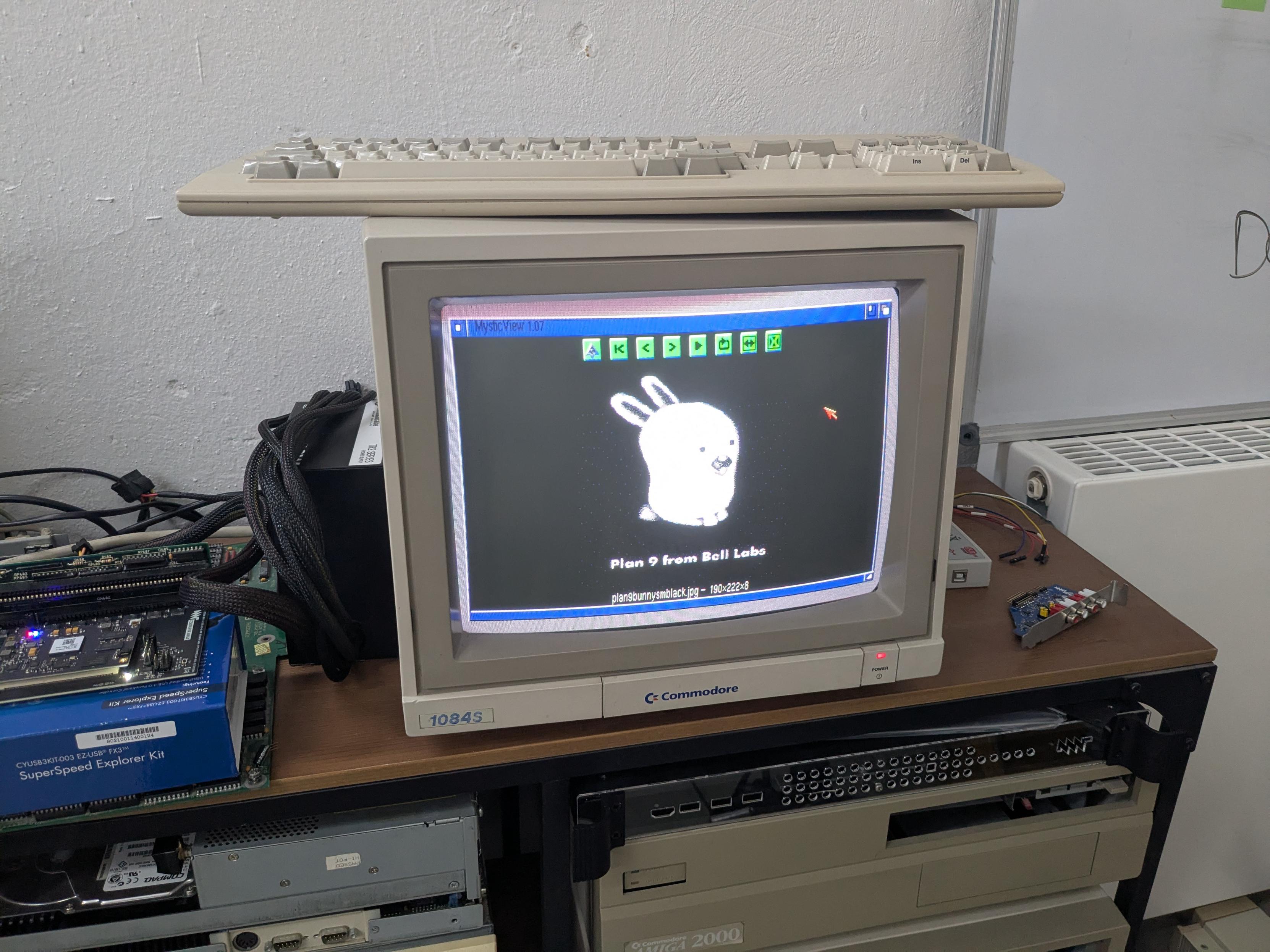 A cute plan nine bunny by Rainy Dohaney