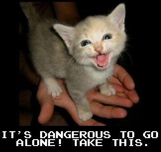 Hands offer a tiny kitten. 
Caption says: "It's dangerous to go alone! Take this.