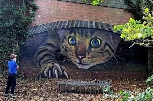 Peeking Cat by Andy Dice Davies in Cheltenham, UK