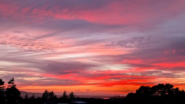 Another sky with clouds going every which way. The clouds are reflecting layers of orange, red and pink. There are dark tree tops at the bottom.