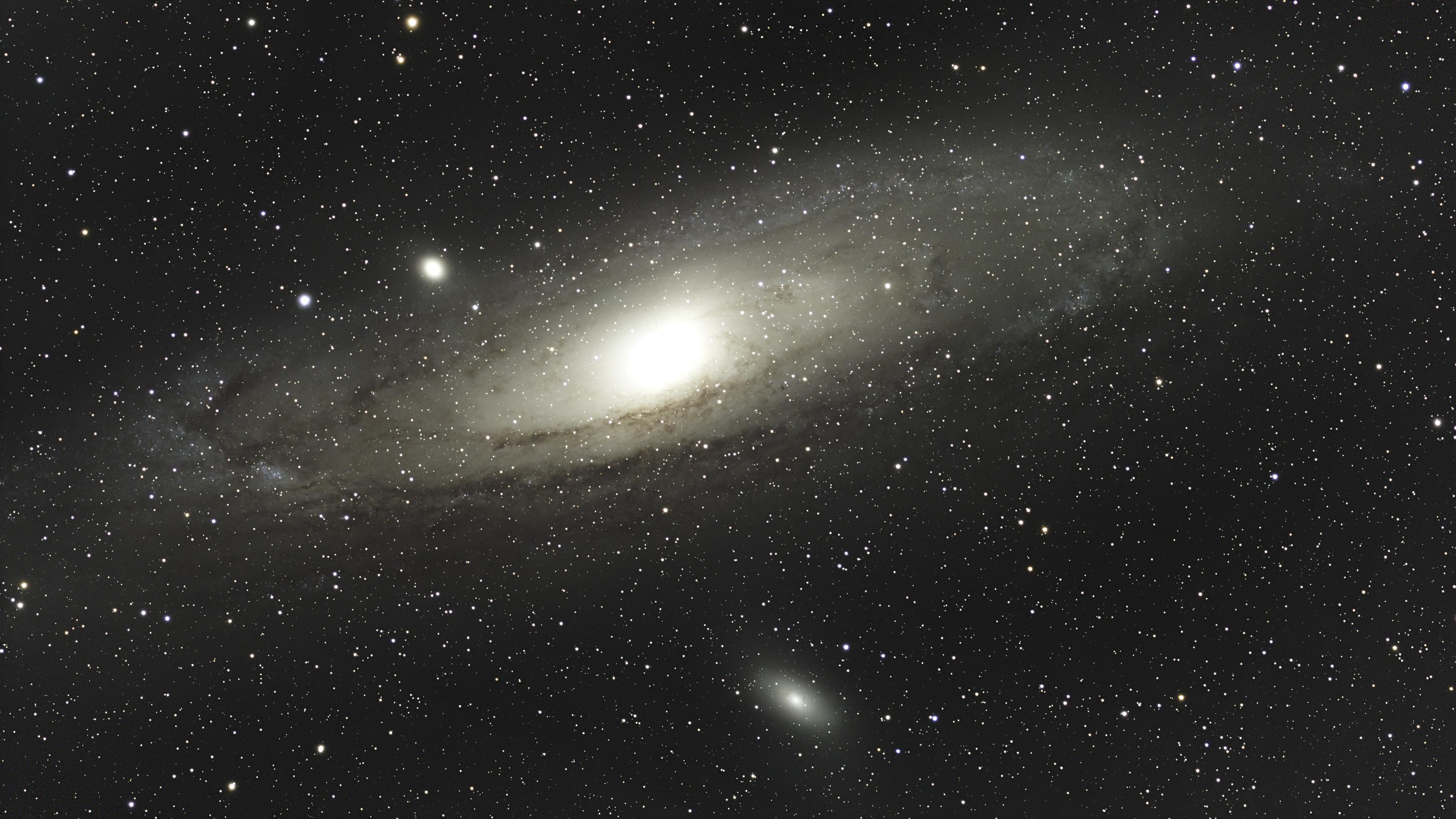 M31 The Andromeda galaxy. Seestar 50 mosaic of 3500 10s images. Processed in Pixinsight at a huge cost of hard drive space.