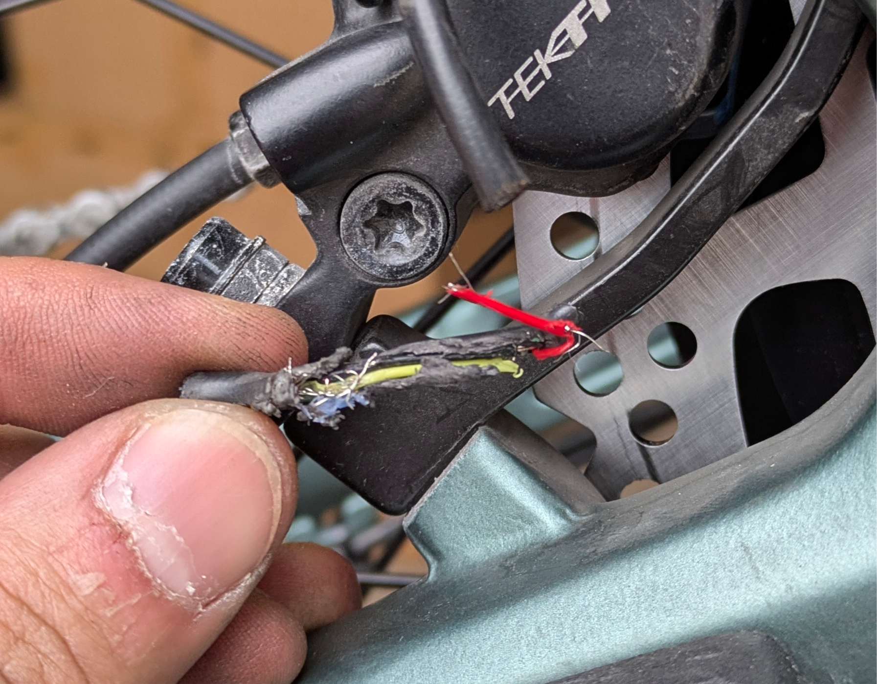 Cropped photo of a wire, frayed, cables clearly f'd, with the rear rim pictured