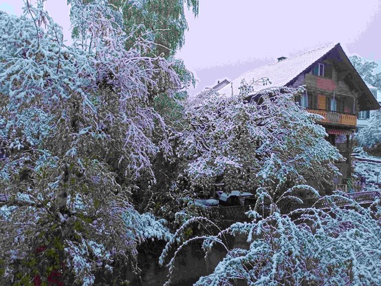Bäume mit Blättern voller Schnee und ein Holzhaus mit schneebedecktem Dach auf der rechten Seite