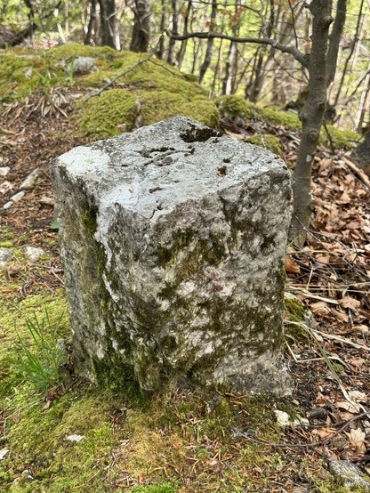 A stine block in the middle of the woods with a strange engraving on it.