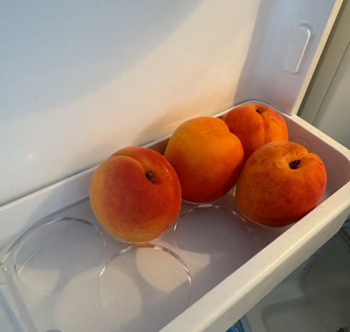 Aprikosen im Kühlschrank-Eierfach