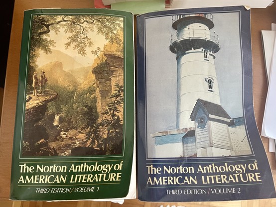 The Norton Anthology of American Literature, 2 volumes, 1979 (I have the third edition from 1989, hoping that diversity of texts selected has increased in the meantime).