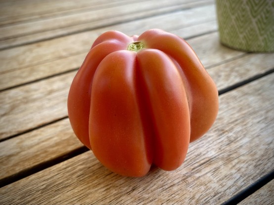 Eine gerippte, rötlich-orange Tomate auf einer Holzoberfläche. Ein grün gemustertes Objekt befindet sich im Hintergrund.