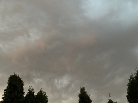 Graue Regenwolken und von der Sonnen gelblich beleuchteten Wolken
Gray rain clouds and clouds illuminated yellowish by the sun