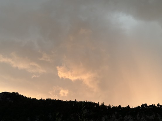 Graue Regenwolken und von der Sonnen gelblich beleuchteten Wolken
Gray rain clouds and clouds illuminated yellowish by the sun