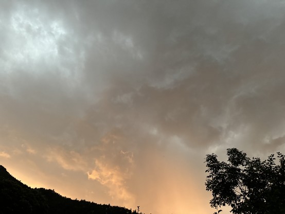 Graue Regenwolken und von der Sonnen gelblich beleuchteten Wolken
Gray rain clouds and clouds illuminated yellowish by the sun