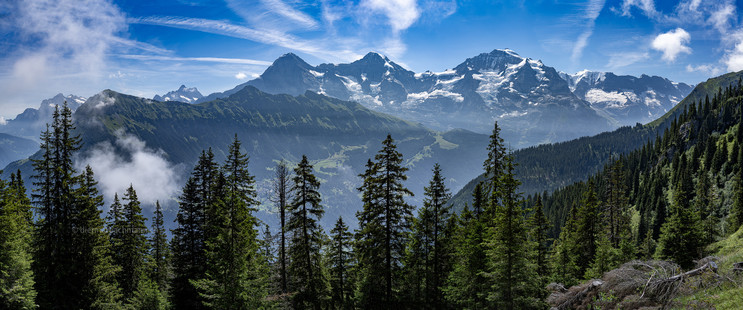 Das Bild zeigt eine atemberaubende Berglandschaft bei klarem Wetter. Im Vordergrund stehen hohe, dichte Nadelbäume, die in einem üppigen, grünen Waldgebiet wachsen. Dahinter erstrecken sich majestätische Berge mit schneebedeckten Gipfeln, die unter einem strahlend blauen Himmel aufragen. Dünne, weiße Wolken ziehen über den Himmel und verteilen sich in verschiedenen Höhenlagen. Die Täler zwischen den Bergen sind teilweise im Schatten, mit grünen Wiesen und bewaldeten Hängen. Das Bild vermittelt eine ruhige und beeindruckende Naturkulisse in den Alpen.