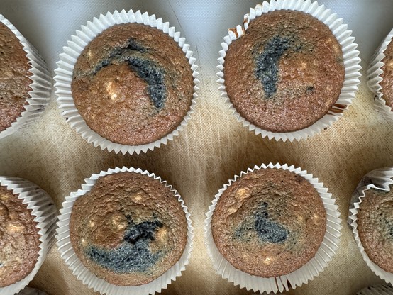 Baked blueberry muffin
Blaubeeren Muffin gebacken