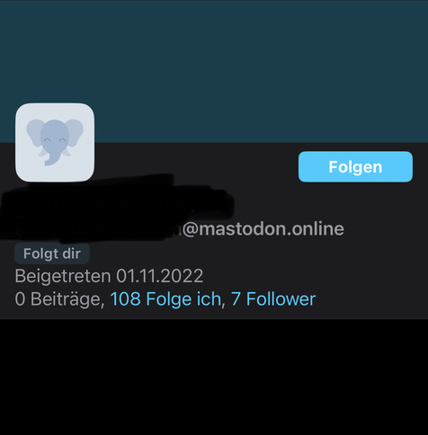 Ein sehr karges Mastodon-Profil