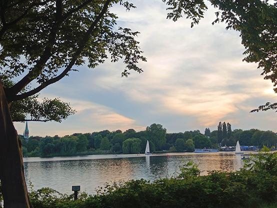 Blick vom Ufer auf die Alster Hamburg. Zwei Segelboote sind auf der Aussenalster zu sehen und er Kirchturm der Kirche St. Johanis-Harvestehude