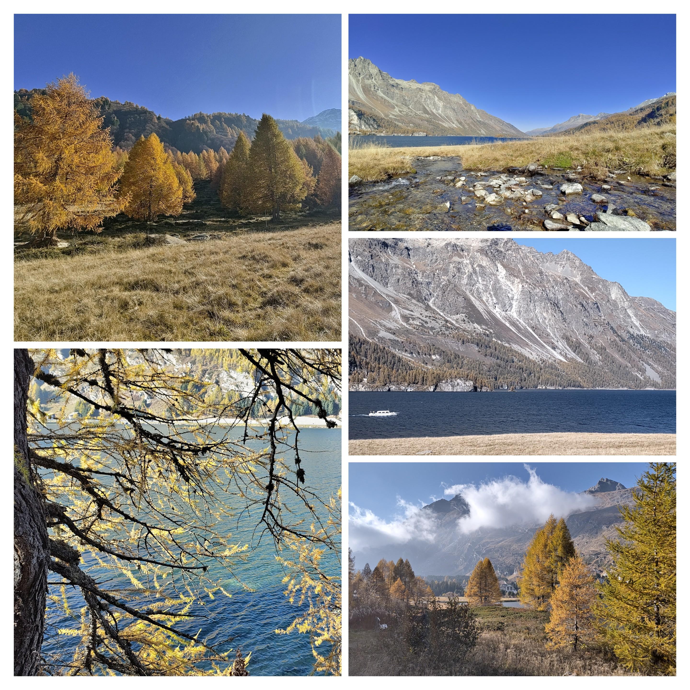 Sorry, no caption provided by author