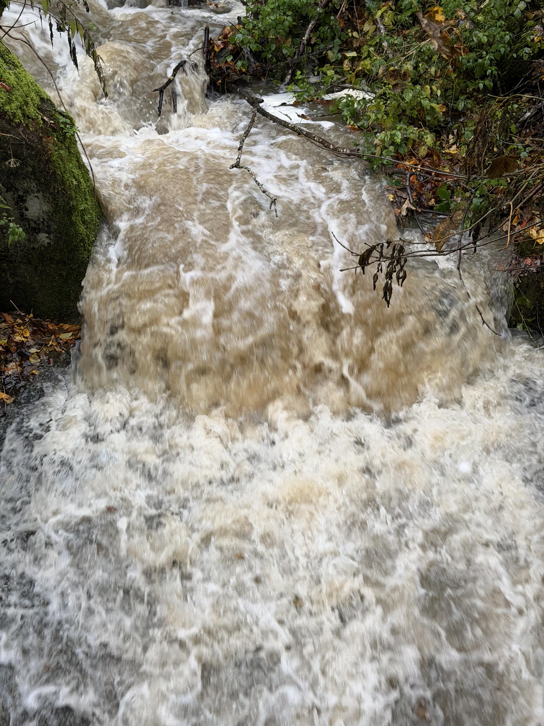 Eine kleiner friedlicher  Bach wird zu einen reissenden.
A small peaceful stream becomes a raging torrent.