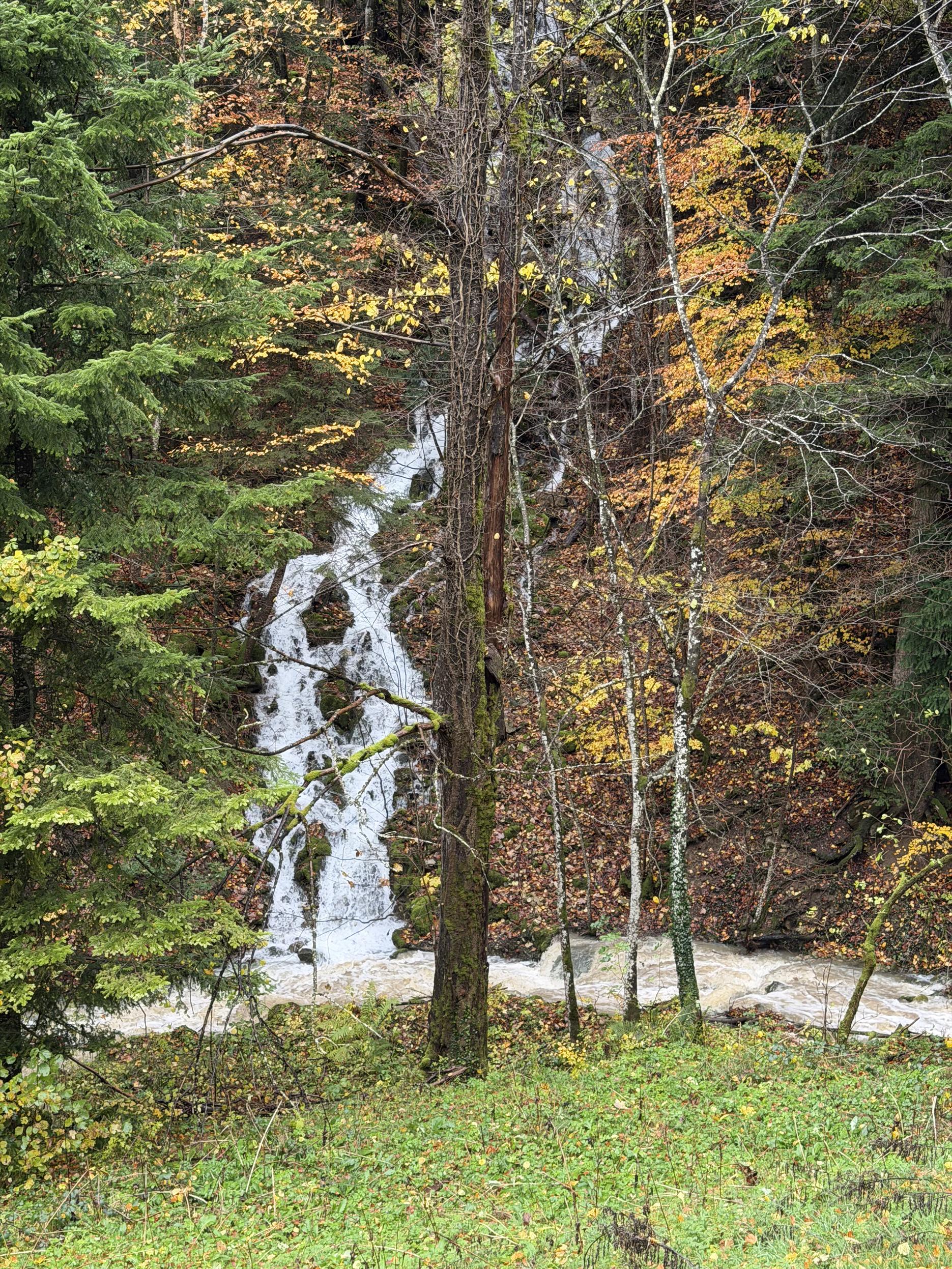 Eine kleiner friedlicher  Bach wird zu einen reissenden mit Wasserfall
A small peaceful stream becomes a raging torrent with Waterfall