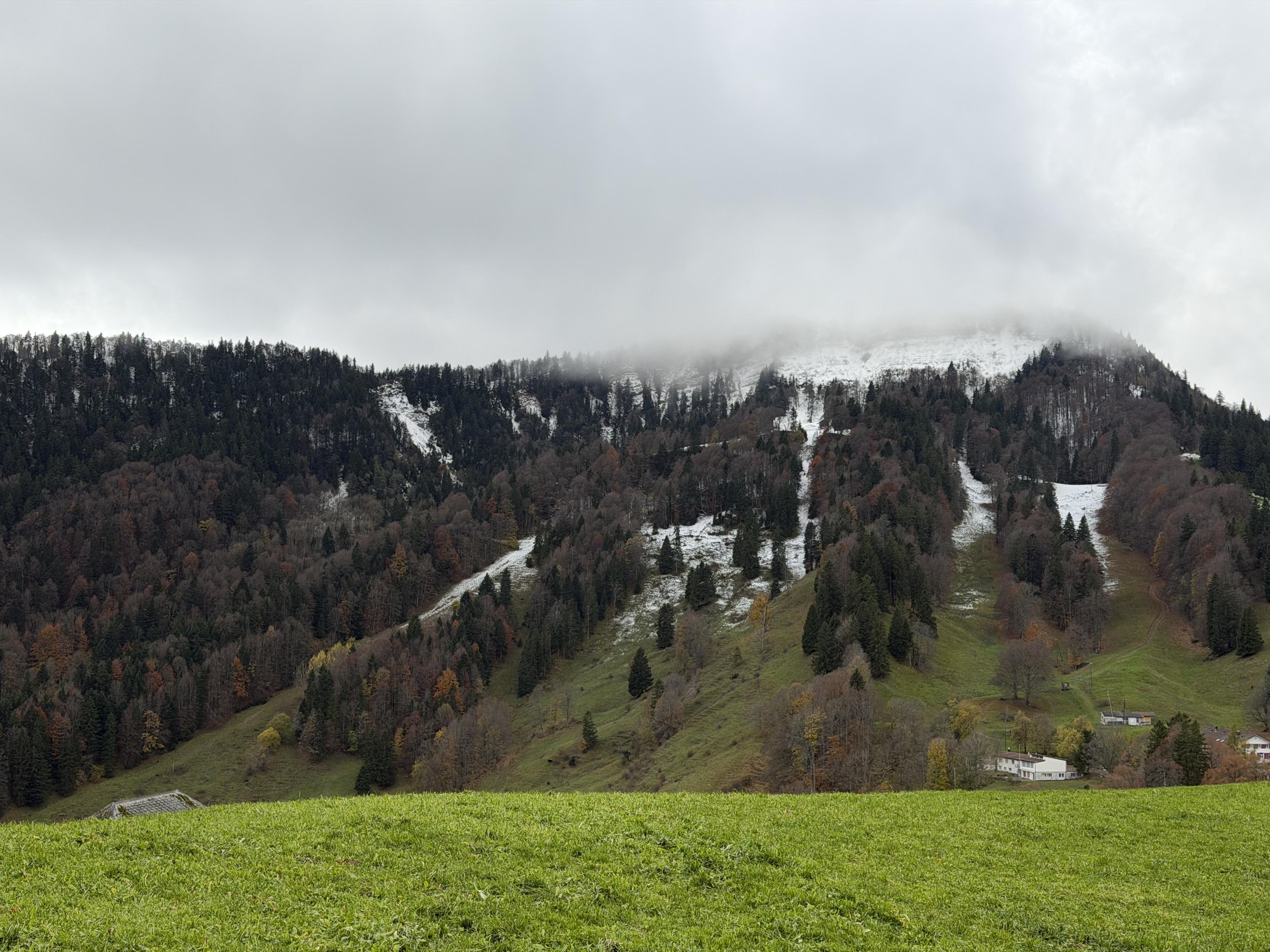 Graue Wolken, in der Mitte Berge welche leicht mit Schnee bedeckt sind, vorne Wiese
Grey clouds, mountains lightly covered with snow in the middle of the picture, meadow in the foreground.