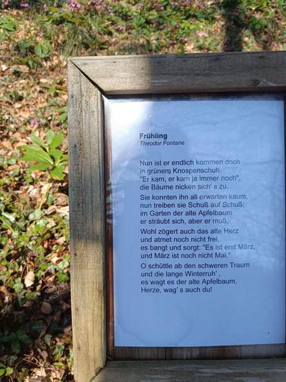 Gedicht von Theodor Fontane: Frühling