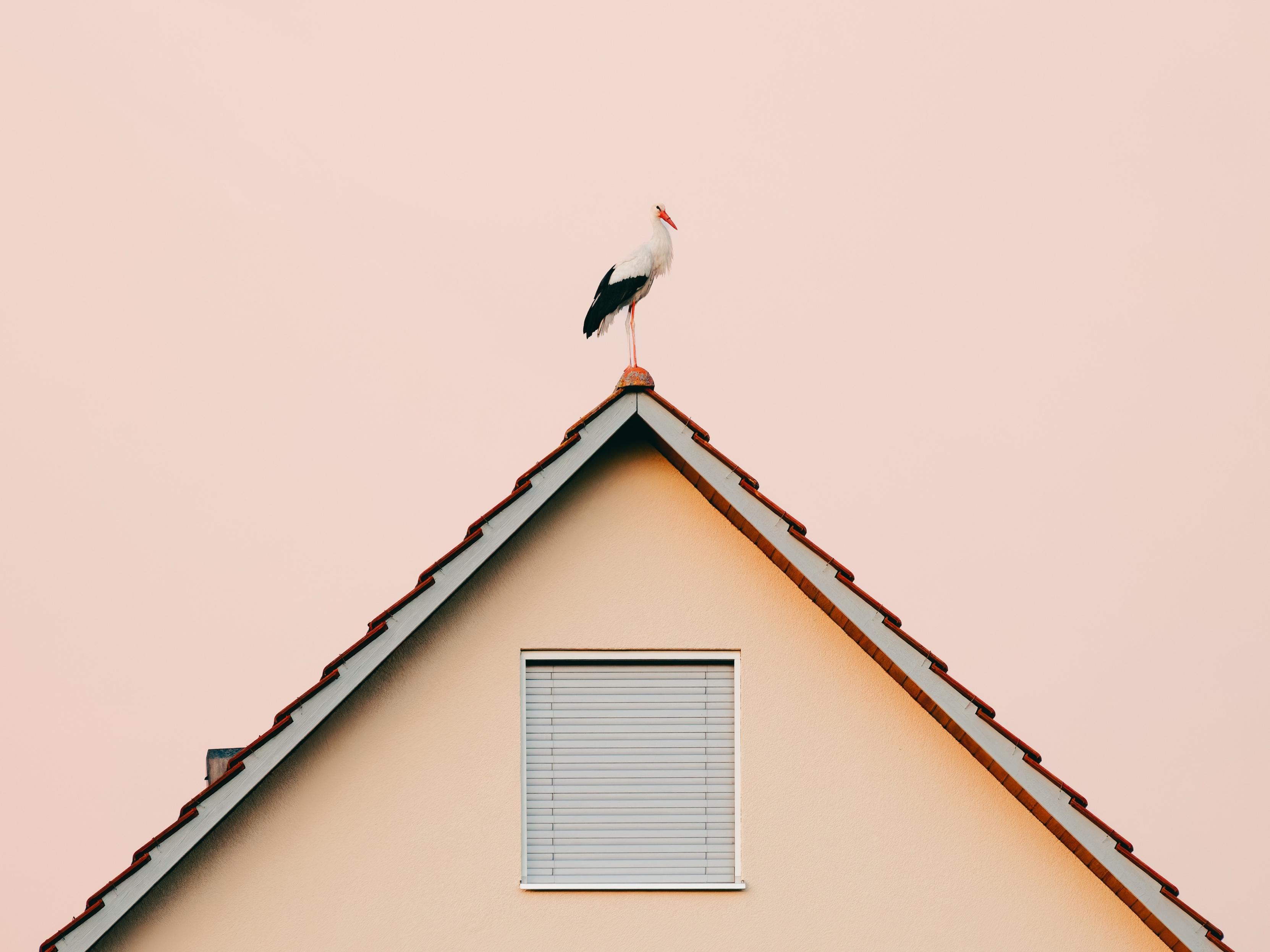 A stork stands on the peak of a house roof against a soft pink sky. There is a small window on the house with the stores closed, and the overall composition is minimalistic.
