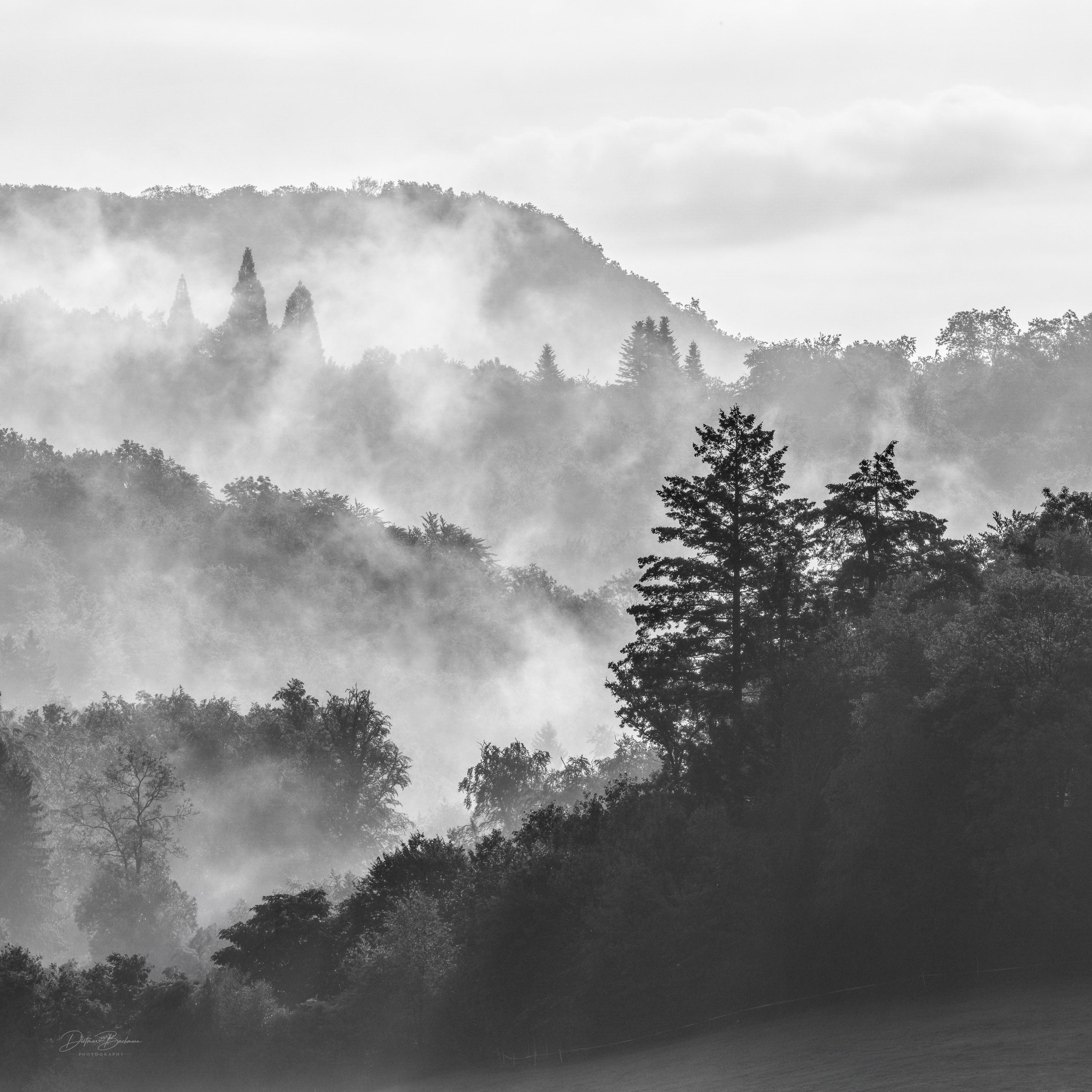 A monochrome landscape featuring layered mountains and mist, with trees silhouetted against the fog. The image captures a serene and atmospheric scene, emphasizing depth and tranquility.
