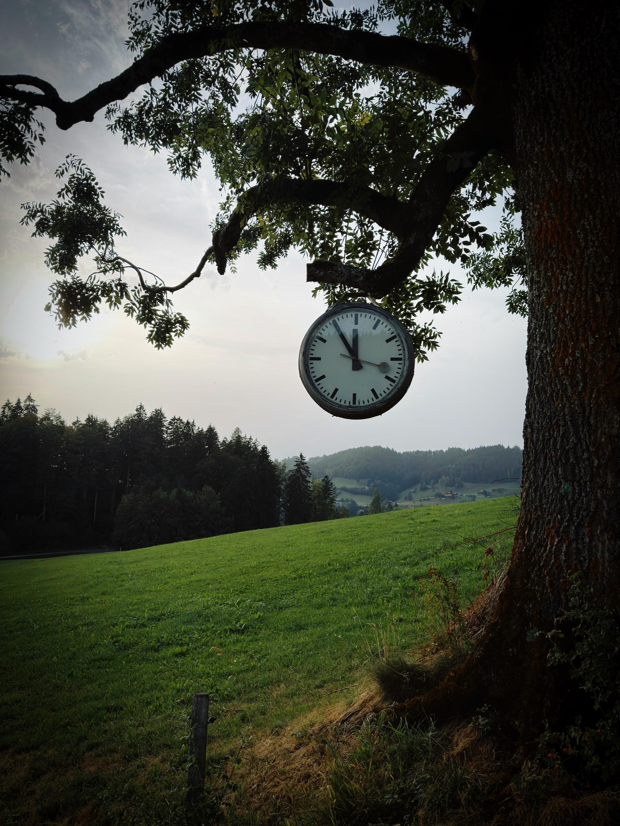 Eine runde Uhr hängt an einem Ast in einer ruhigen Landschaft, mit einem grasbewachsenen Feld und fernen Hügeln im Hintergrund unter einem bewölkten Himmel.