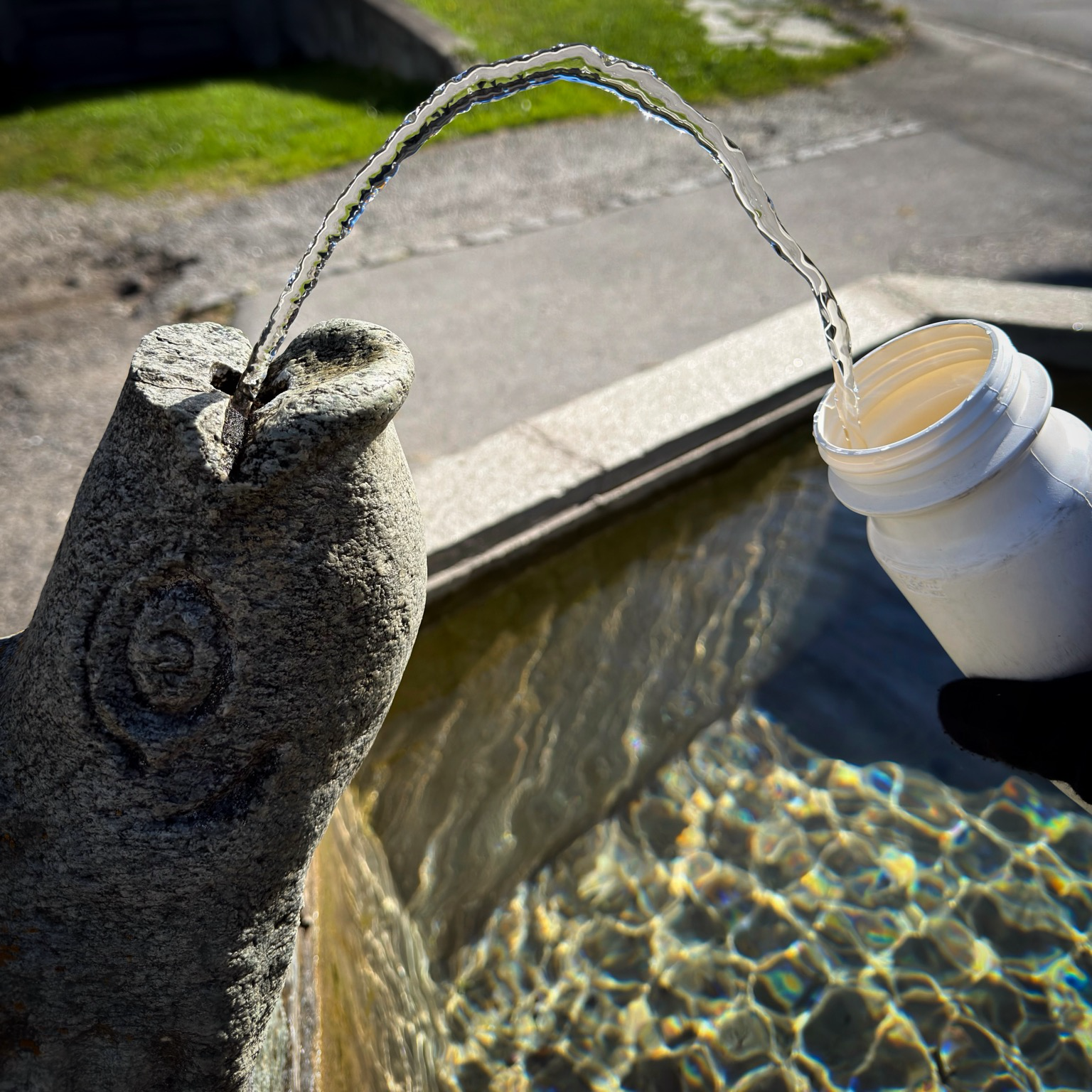 eine brunnenfigur (ein fisch) speit wasser, das von einer trinkflasche aufgefangen wird